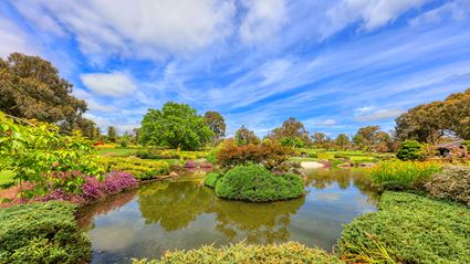 Japanese Garden - Cowra 